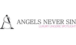 angels never sin logo