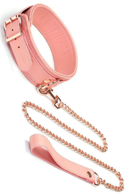 Liebe Seele obróżka ze smyczą Pink Dream Collar with Leash