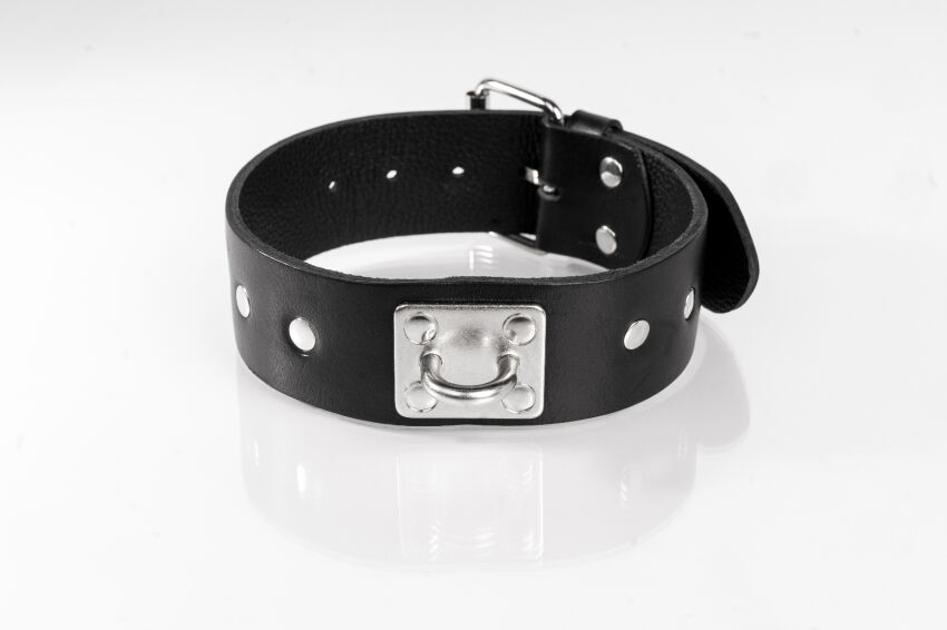 Obroża z ćwiekami czarna S Primal Bond Whips