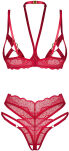 Koronkowy Komplet Bielizny Cupide Desir S/M Obsessive - 5