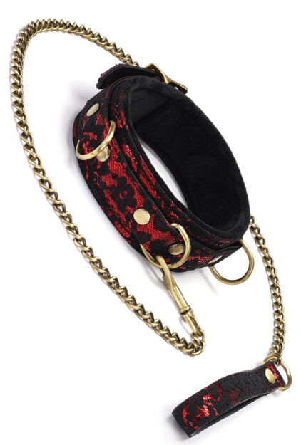 Liebe Seele Victorian Garden Lace and Velvet Collar with Leash