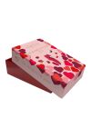 Amour The Secrets Of Love Panty Play Kit Dreamtoys - 10