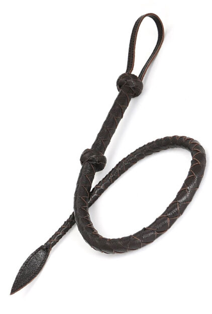 Bicz Wild Gent Whip Liebe Seele