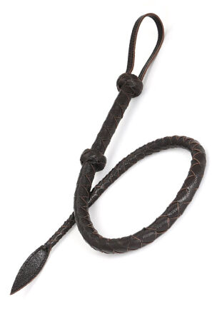 Bicz Wild Gent Whip Liebe Seele