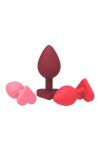 Amour The Passion Of Love Alluring Anal Kit Dreamtoys - 2