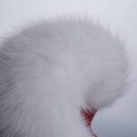 Korek analny Swinging&Vibrating Anal Plug With Fox Fur Tail White Upko - 7