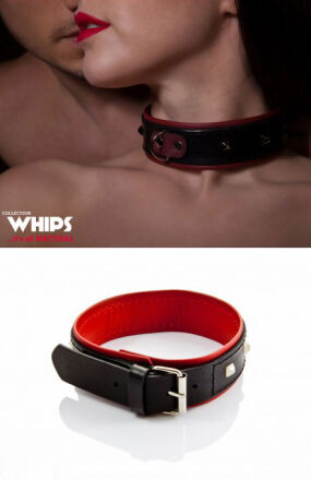 Whips Obroża damska 4 cm