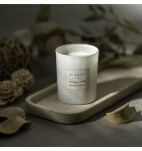 Luxury Massage Candle Ylang-Ylang Mandarin - Świeca Do Masażu Je Joue - 5