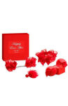 Zestaw gadżetów Happily Ever After Red Label Bijoux Indiscrets - 2