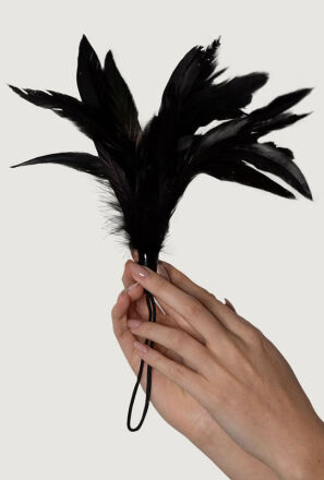 Feather Tickler Black - Prestiżowe Pióra Adrien Lastic