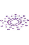 Mimi Purple Fioletowe Nasutniki - 2