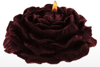 Świece Niskotemperaturowe Rose Japanese Drip Candle 2Pcs Taboom - 5