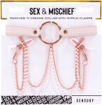 S&M Peaches ‘N Creame Collar With Nipple Clamps Sportsheets - 6